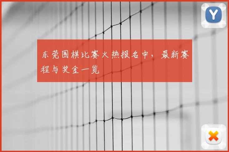 东莞围棋比赛火热报名中，最新赛程与奖金一览